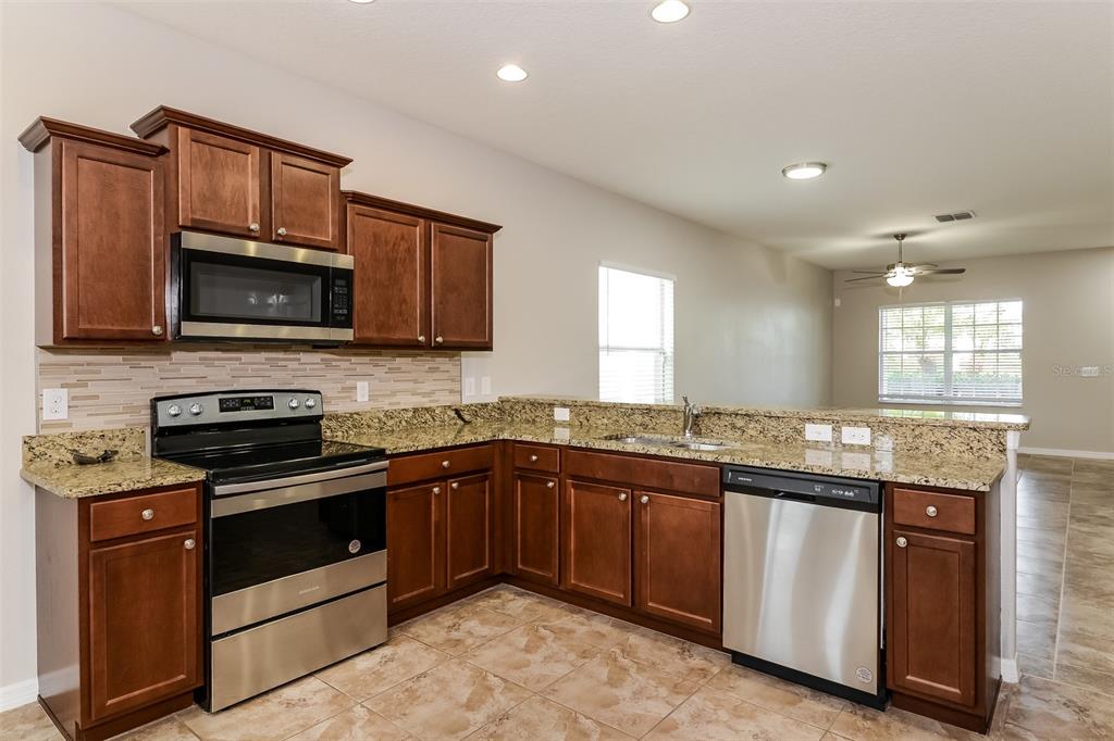 12022 Streambed Drive Riverview, FL 33579 - Photo 7 of 16