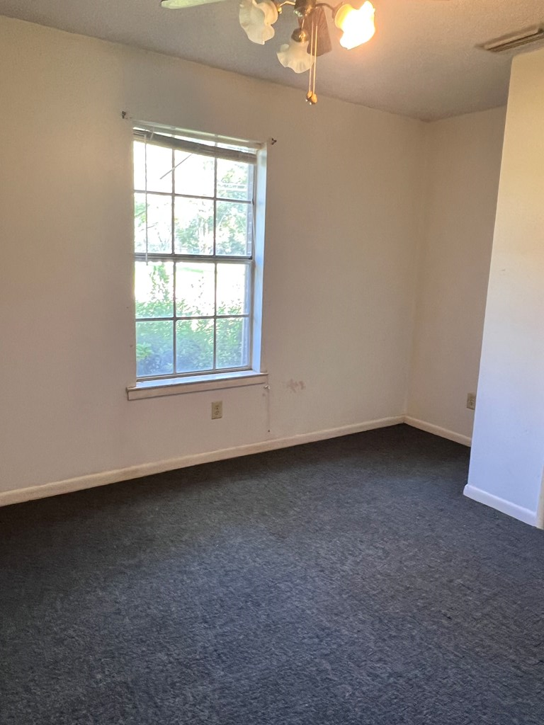 3601 Cathy Lou Road Dothan, AL 36303 - Photo 9 of 24