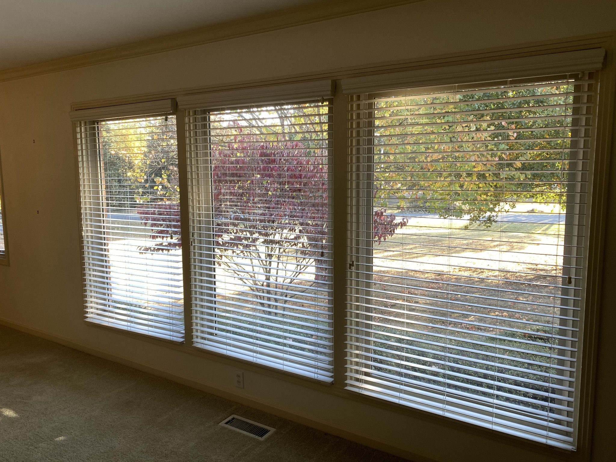 6046 Cargile Road Nashville, TN 37205 - Photo 11 of 24 a view of a room that has a large window