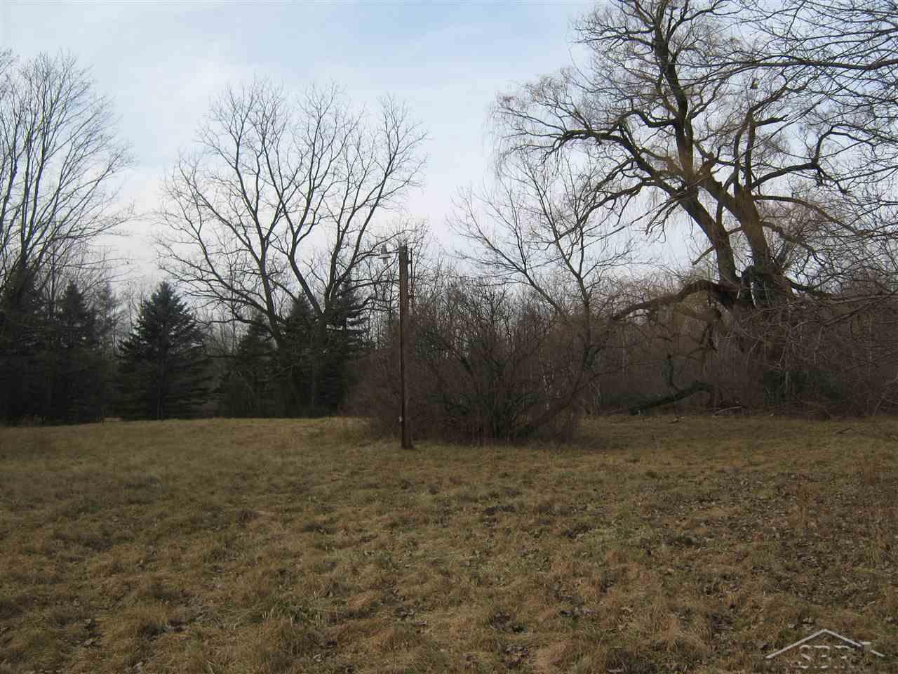 5567 McGrandy Road Bridgeport, MI 48722 - Photo 6 of 12