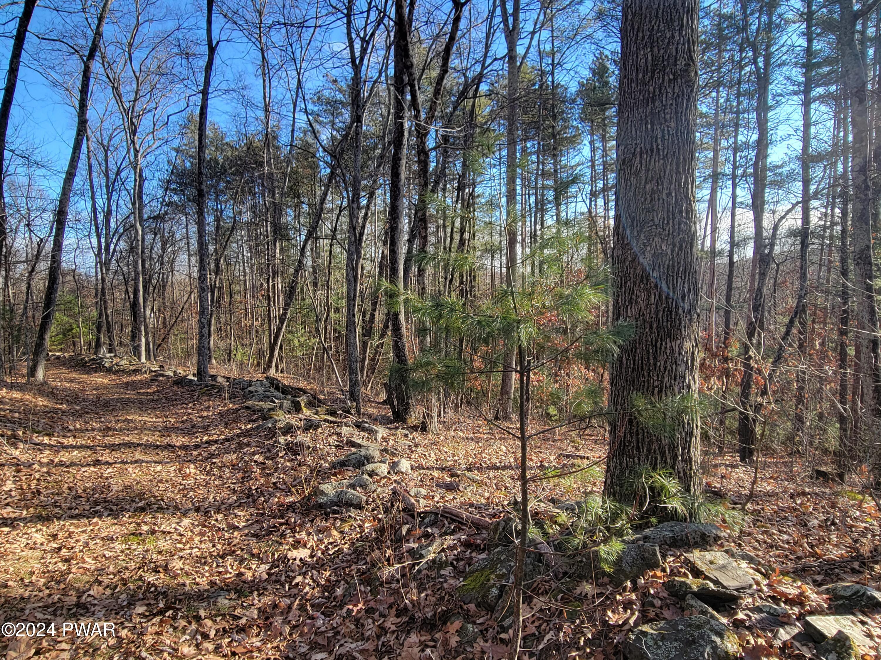 786 Red Rock Road Cresco, PA 18326 - Photo 4 of 5 Trails
