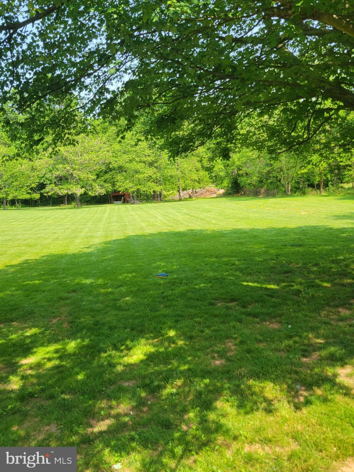 3329 Forge Hill Road Street, MD 21154 - Photo 42 of 85 Rear Lawn