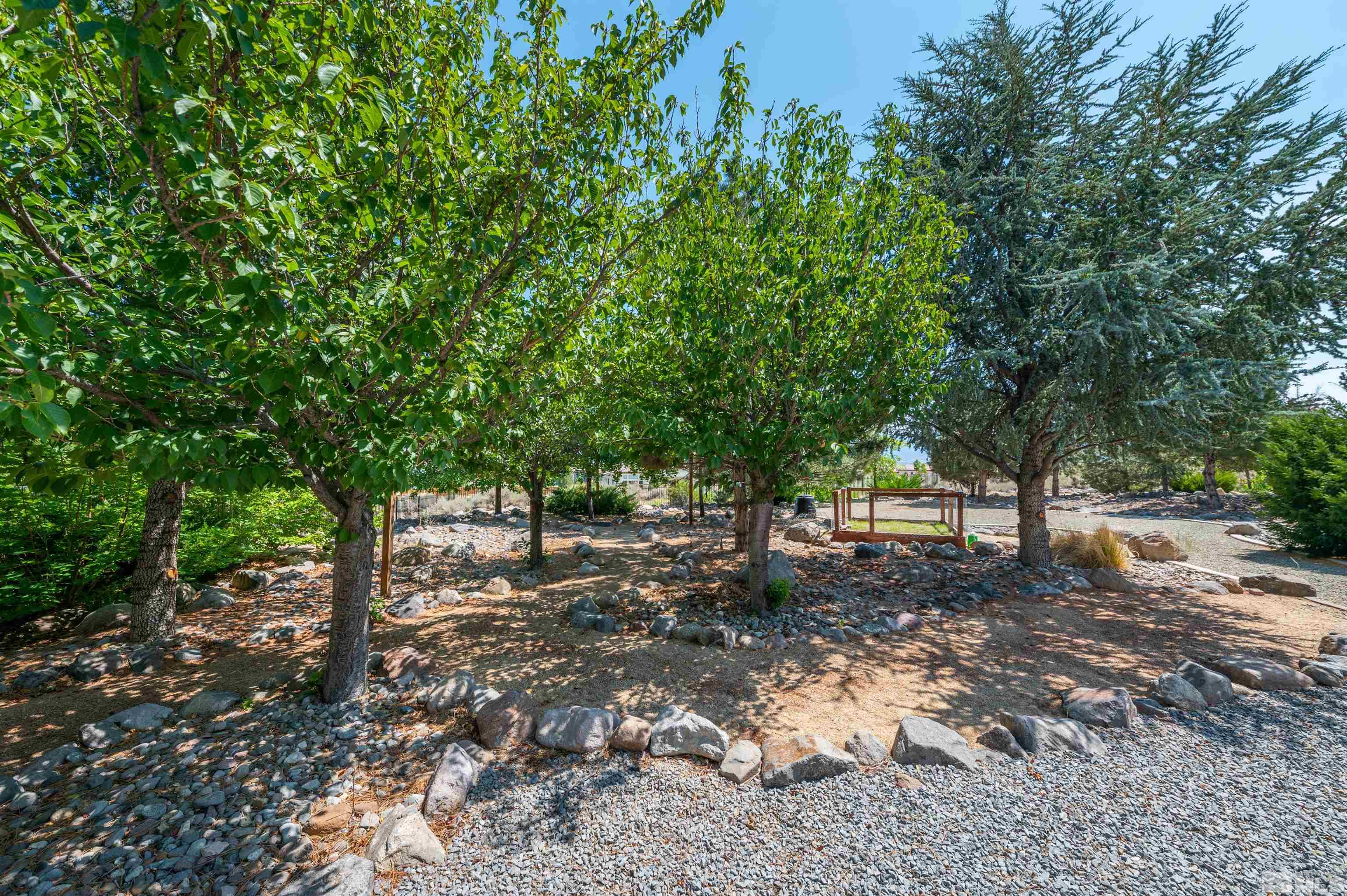 12880 Silver Wolf Road Reno, NV 89511 - Photo 29 of 35 a view of a tree in the middle of a yard