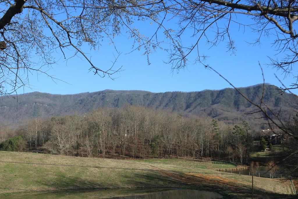 21 County Line Road Dandridge, TN 37725 - Photo 1 of 5
