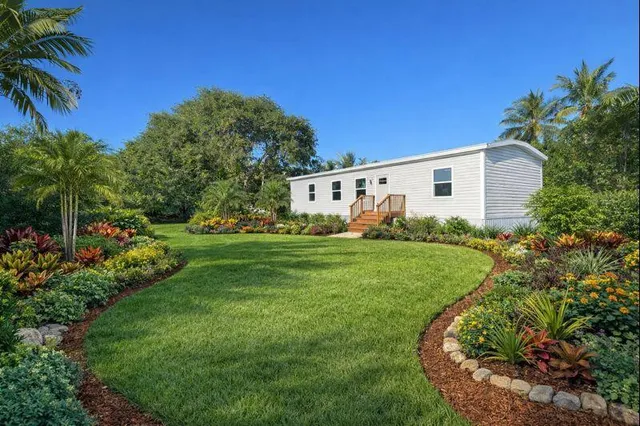 a backyard with potted plants and large tree