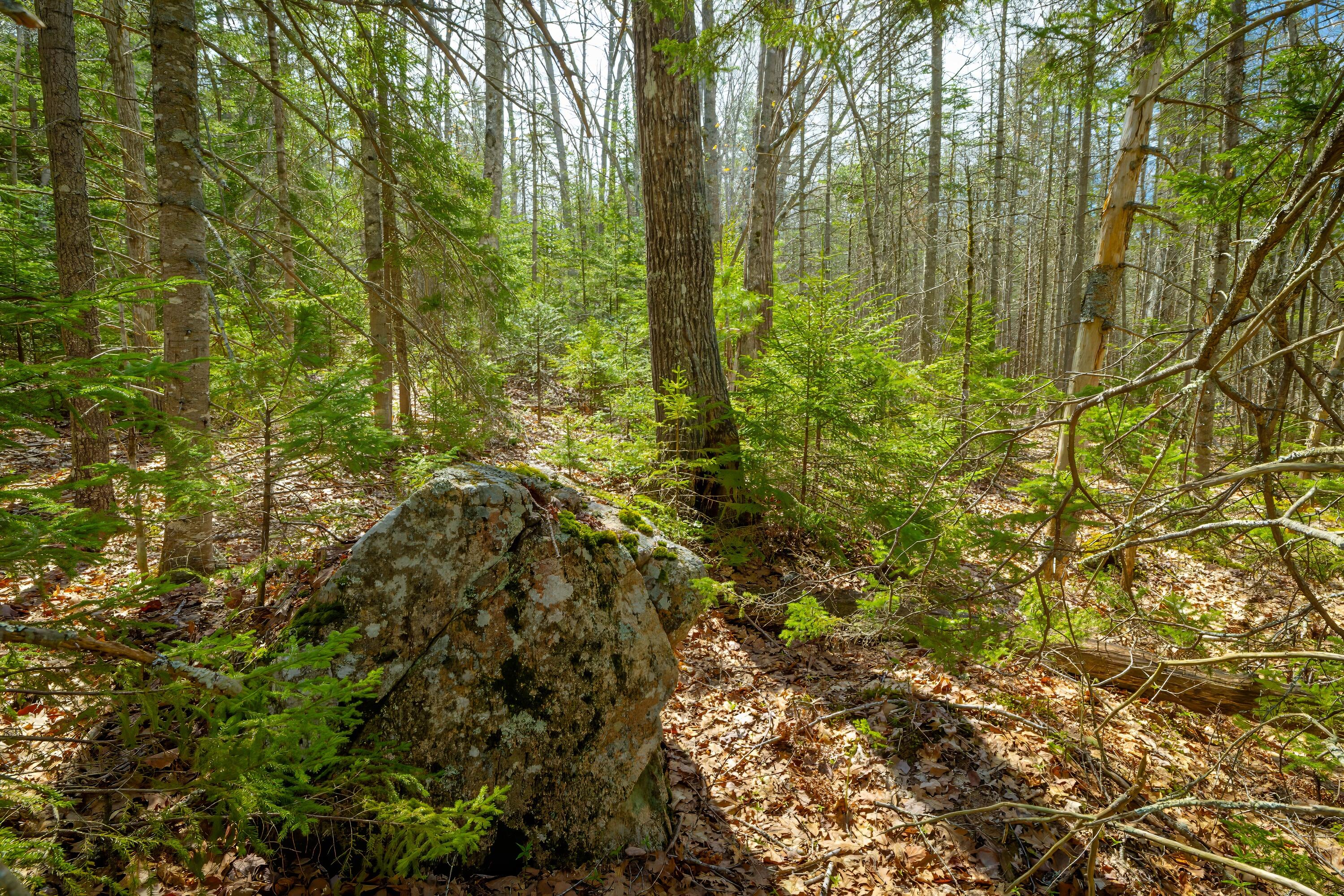 Lot 9 Bluff Road Bar Harbor, ME 04609 - Photo 16 of 33 Copy of 40b-Lot 9, Bluff Road-DTP