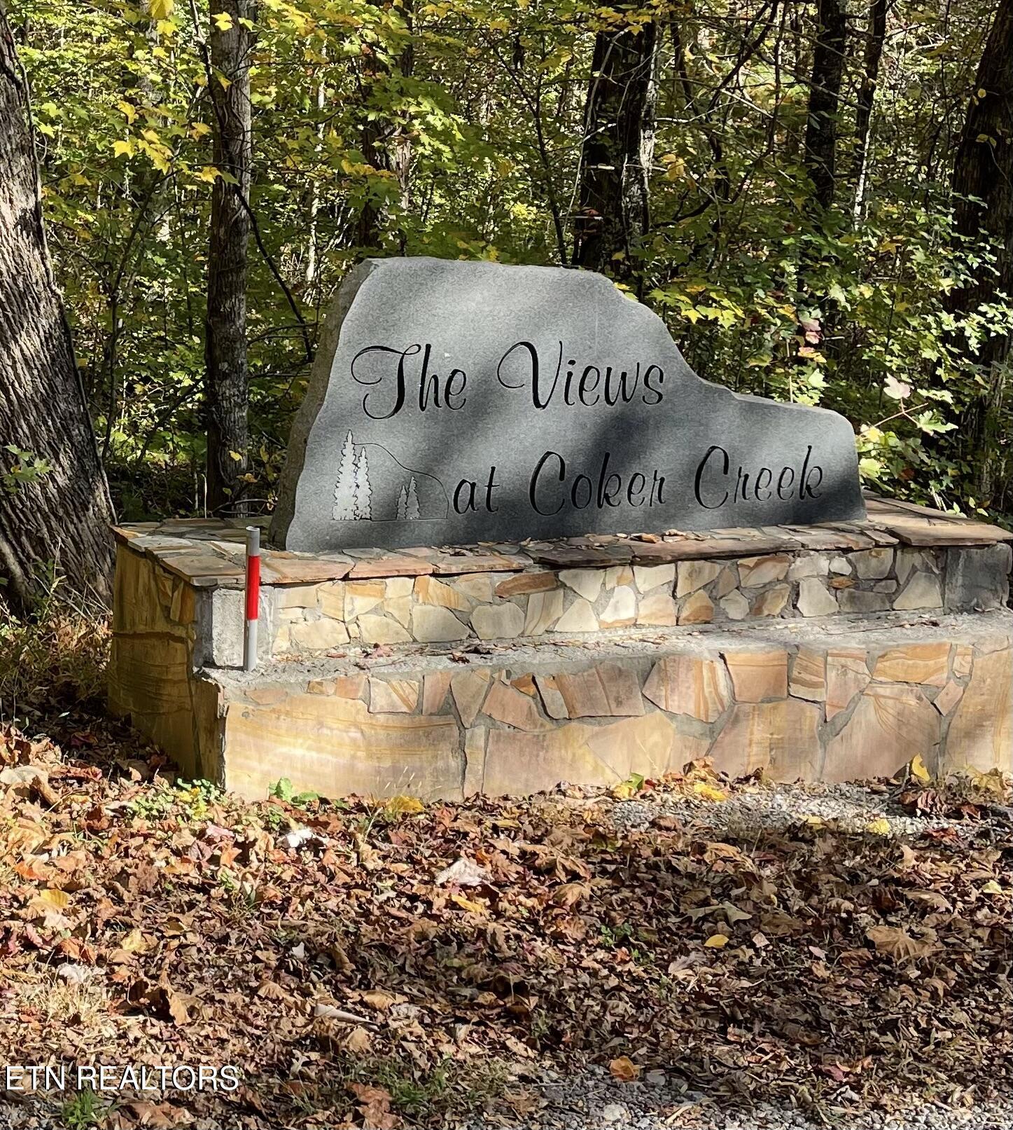 1029 Smithfield Road Tellico Plains, TN 37385 - Photo 7 of 51 The View