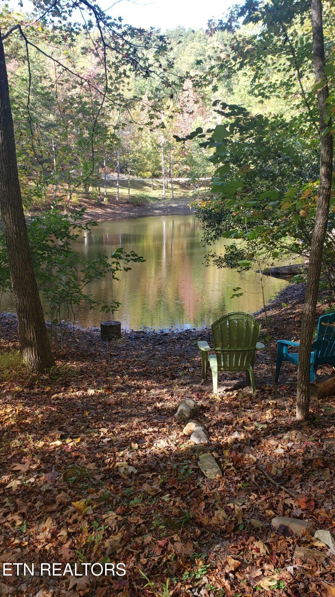 1029 Smithfield Road Tellico Plains, TN 37385 - Photo 8 of 51 pond