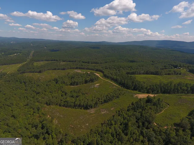 $2,210,000 | 0 Johnson Mountain Road, Unit 7401M, Fairmount, GA 30139