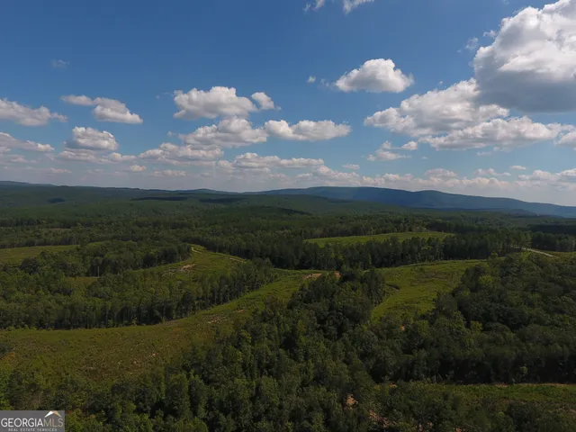 $2,210,000 | 0 Johnson Mountain Road, Unit 7401M, Fairmount, GA 30139