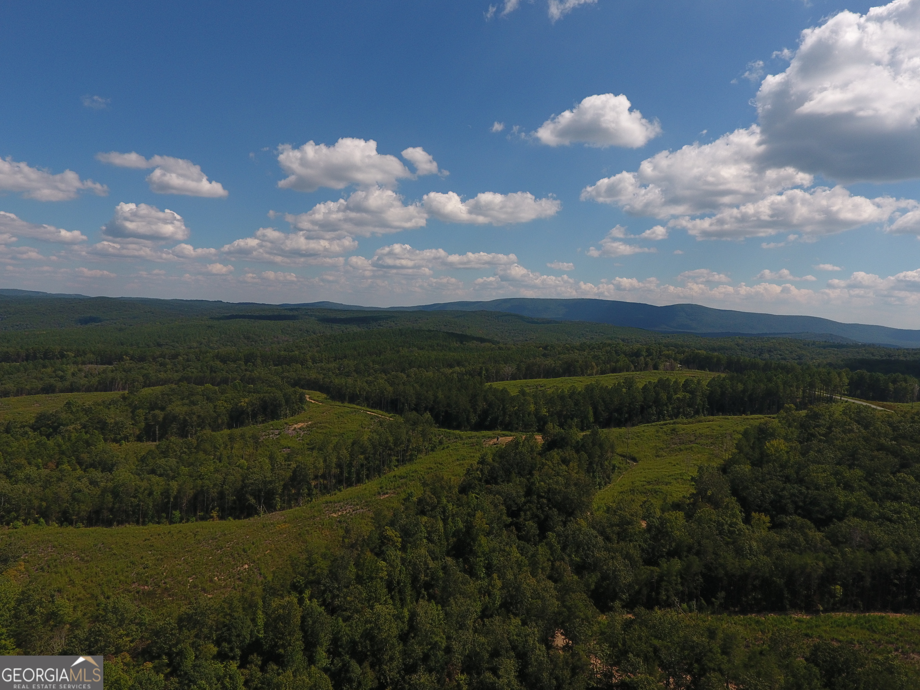 0 Johnson Mountain Road, Unit 7401M Fairmount, GA 30139 - Photo 29 of 33