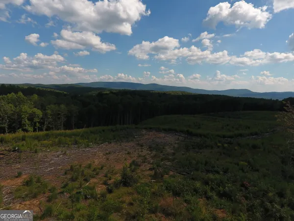 $2,210,000 | 0 Johnson Mountain Road, Unit 7401M, Fairmount, GA 30139