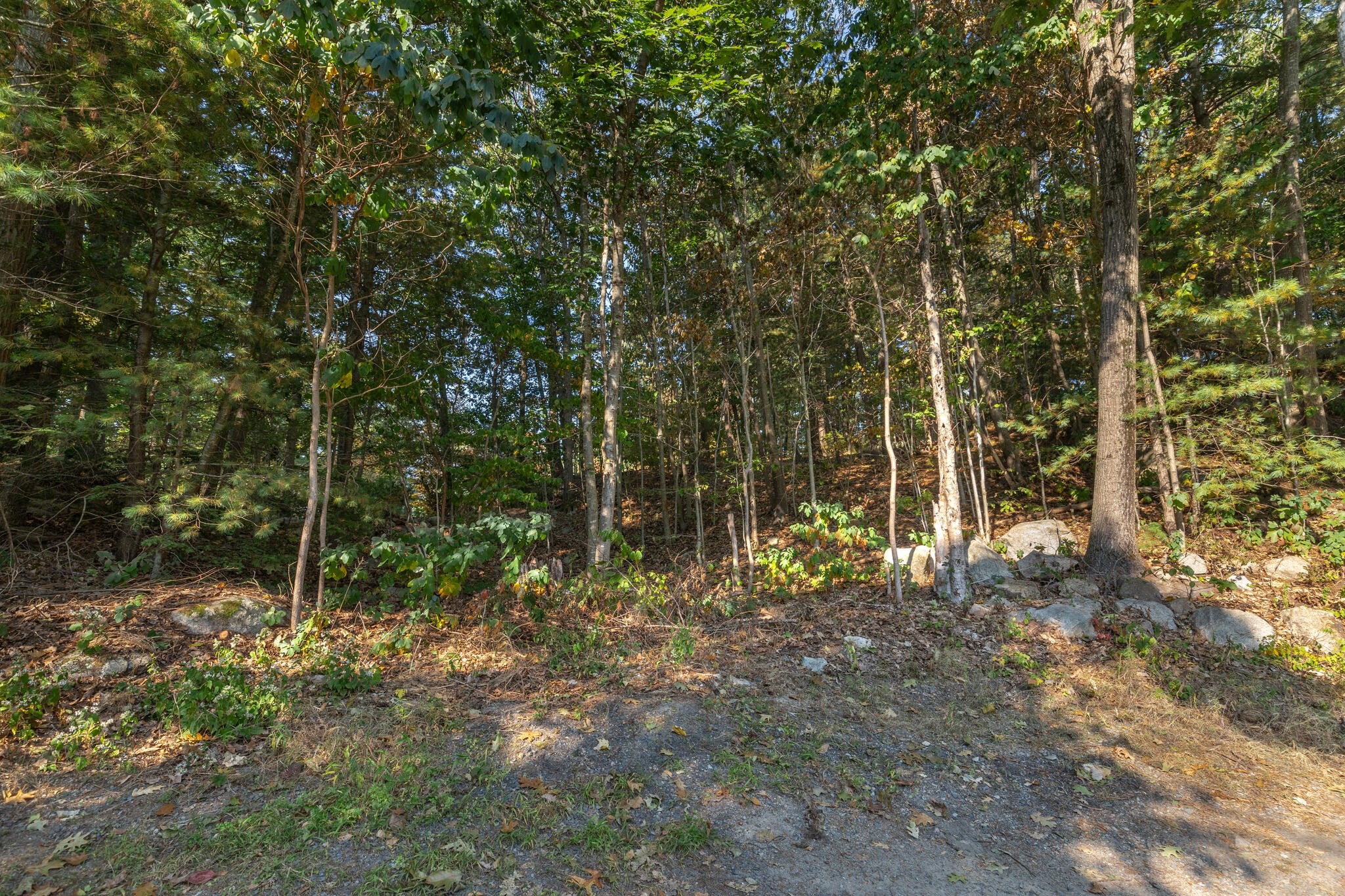 0 Currier Road Manchester, MA 01944 - Photo 5 of 5 Gallery Image 5