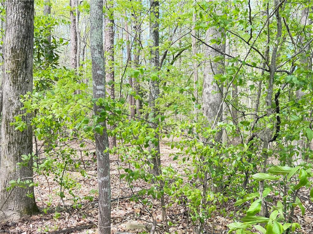 599 Cornatzer Road Mocksville, NC 27028 - Photo 5 of 39