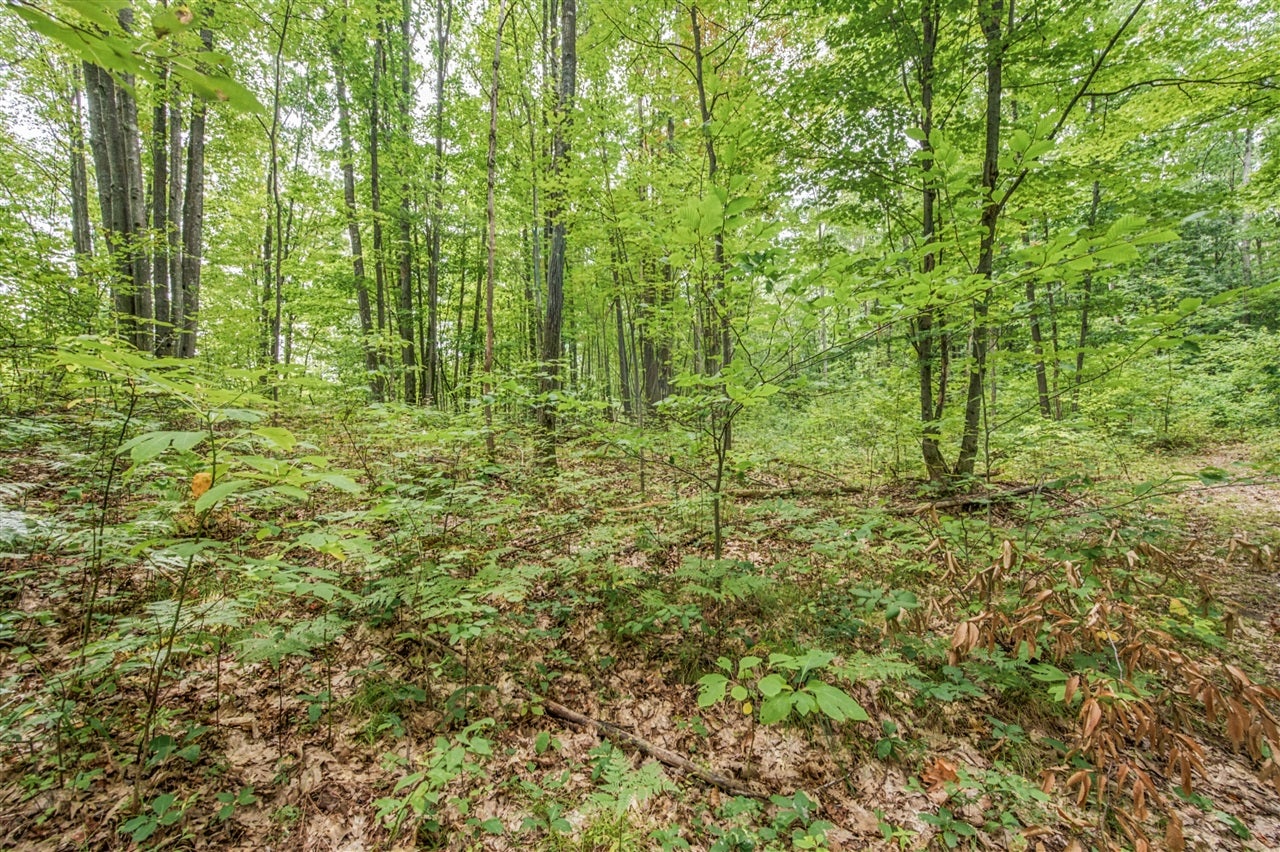 5 8 Mile Road Remus, MI 49340 - Photo 8 of 17 Gallery Image 8