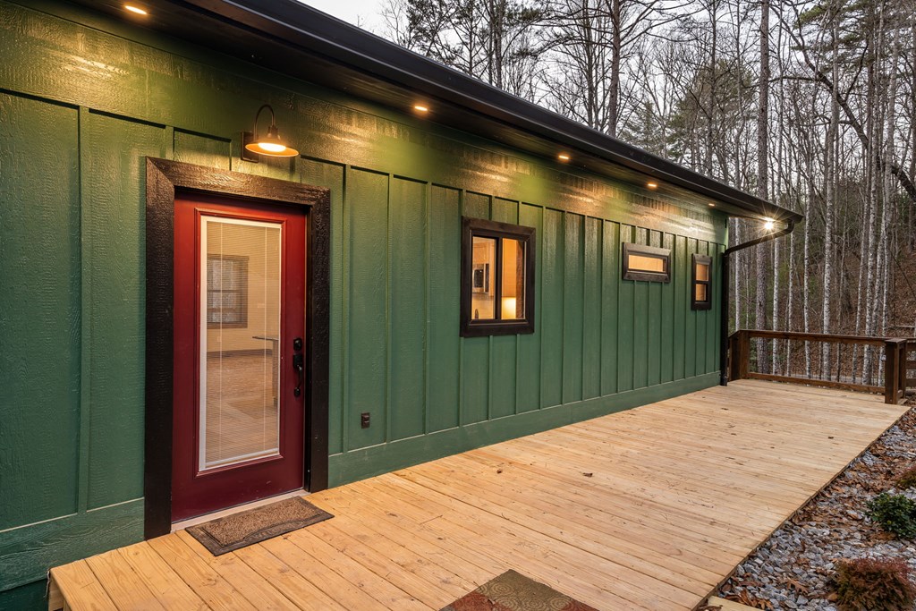 307 Ross Road Mineral Bluff, GA 30559 - Photo 2 of 55