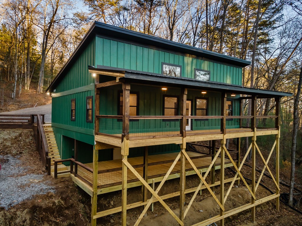 307 Ross Road Mineral Bluff, GA 30559 - Photo 47 of 55