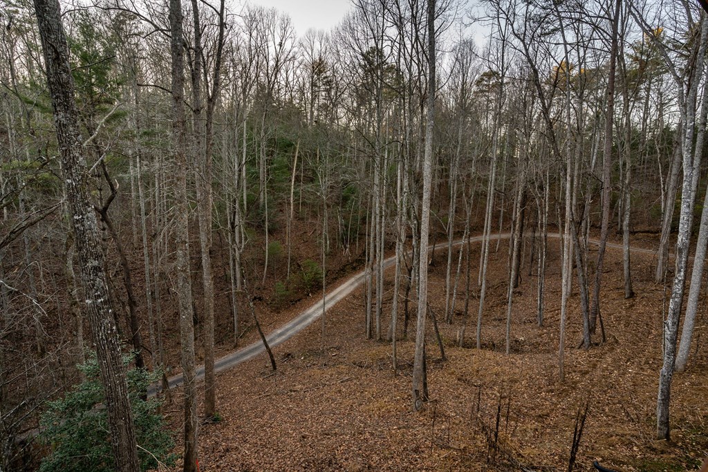 307 Ross Road Mineral Bluff, GA 30559 - Photo 51 of 55