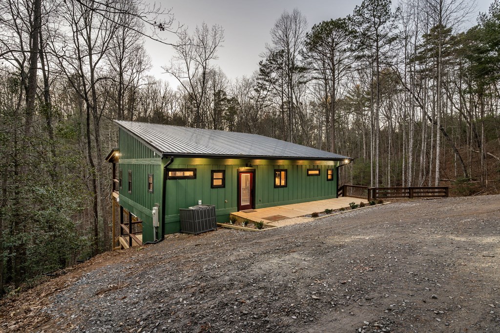 307 Ross Road Mineral Bluff, GA 30559 - Photo 53 of 55