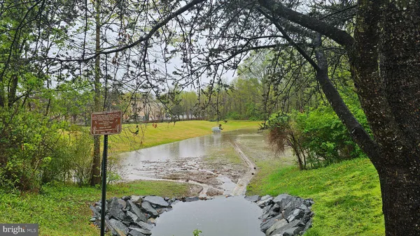 a view of a park with large trees