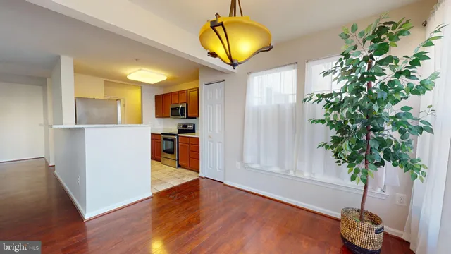 a view of a living room and a potted plant