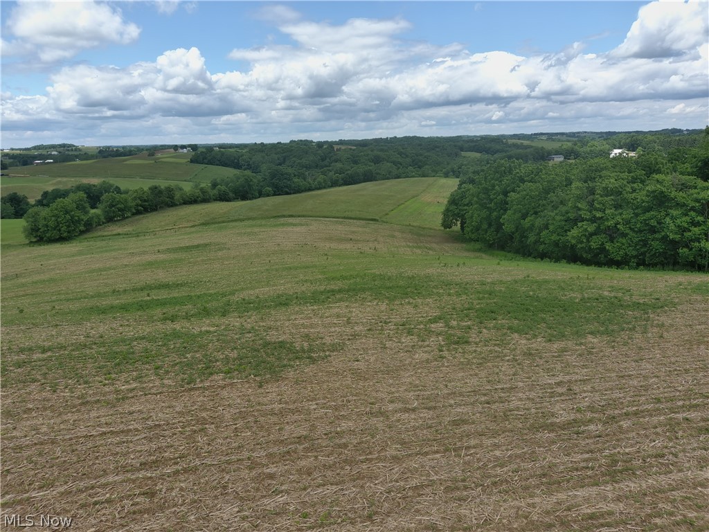 Young Road Adamsville, OH 43802 - Photo 13 of 19 Gallery Image 13