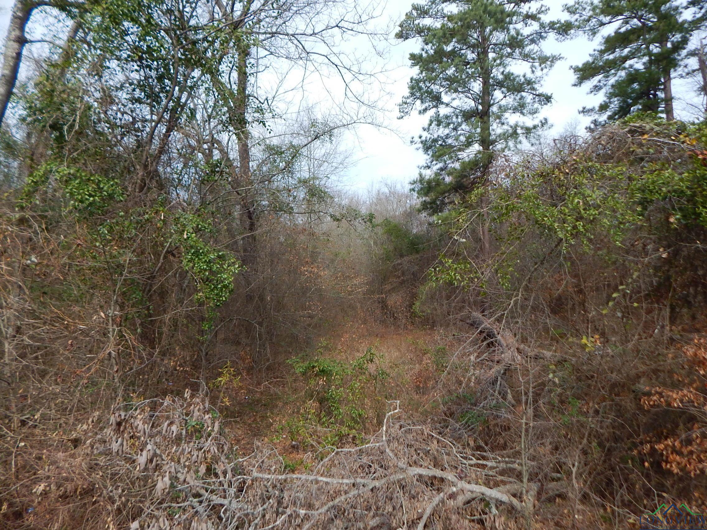 11.72 Acres George Richey Road White Oak, TX 75693 - Photo 11 of 17 Gallery Image 11