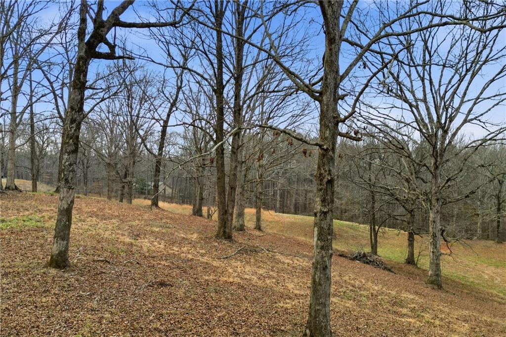 410 North Stringer Road Canton, GA 30115 - Photo 2 of 7 a street view covered with snow