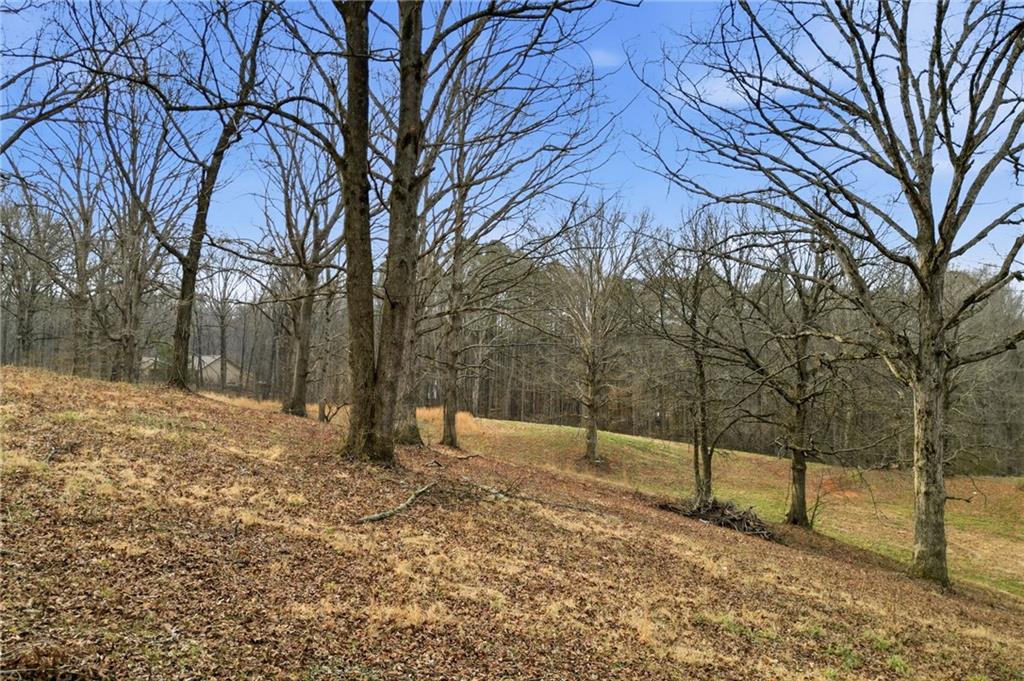 410 North Stringer Road Canton, GA 30115 - Photo 3 of 7 a backyard of a house