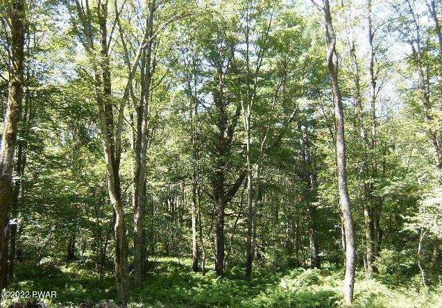 739 Old Milford Road Dingmans Ferry, PA 18328 - Photo 1 of 2
