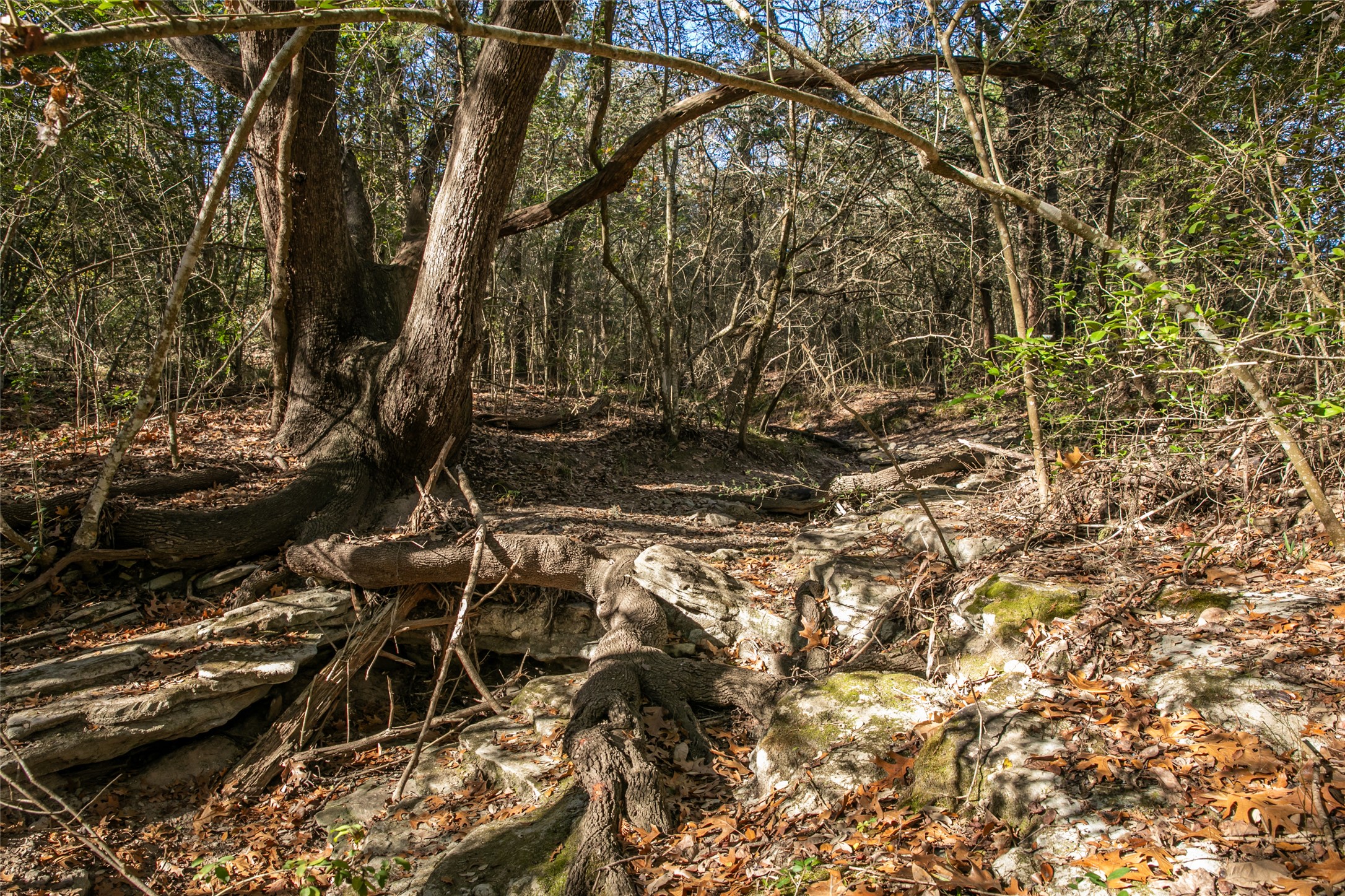 11107 Mt Falls School Road Washington, TX 77880 - Photo 23 of 26