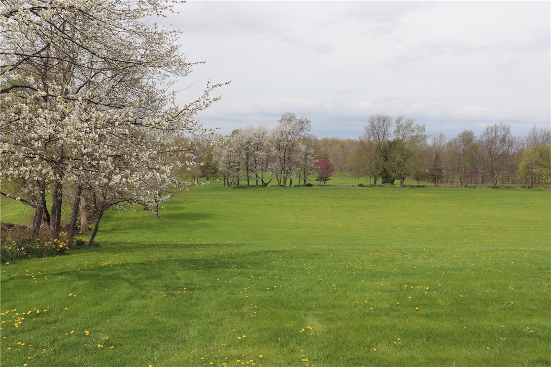 175 Works Road Rush, NY 14472 - Photo 2 of 14