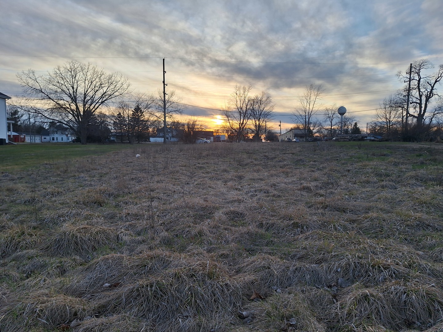 107 Northeast Front Street Rutland, IL 61358 - Photo 2 of 5 a view of a yard with large trees