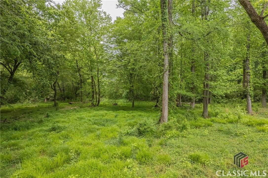 3840 Highway 29 Colbert, GA 30628 - Photo 66 of 75 Gallery Image 66