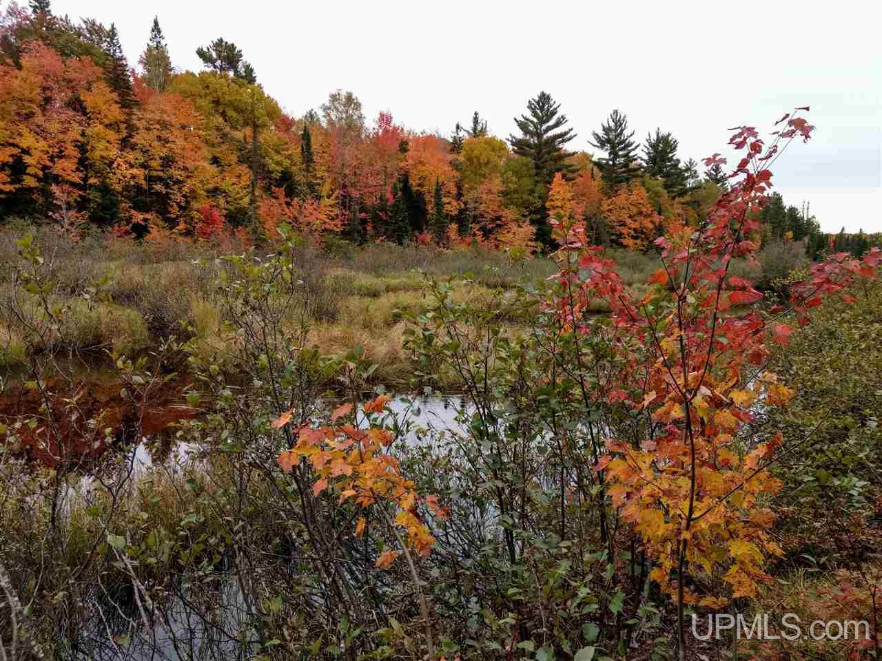 Tbd Peshekee Grade Road Skanee, MI 49962 - Photo 6 of 35