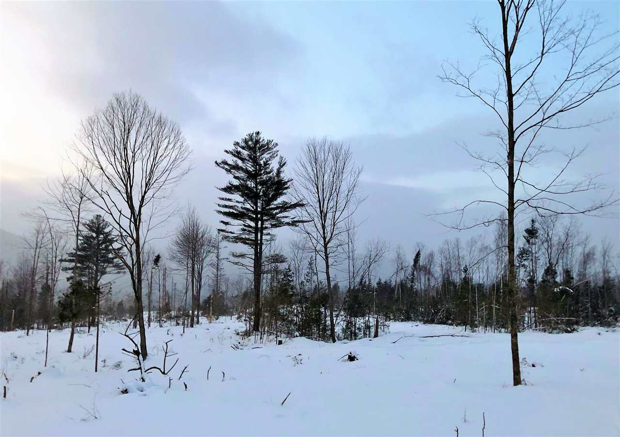 52 52 York Pond Road, Unit 52 Milan, NH 03588 - Photo 2 of 4