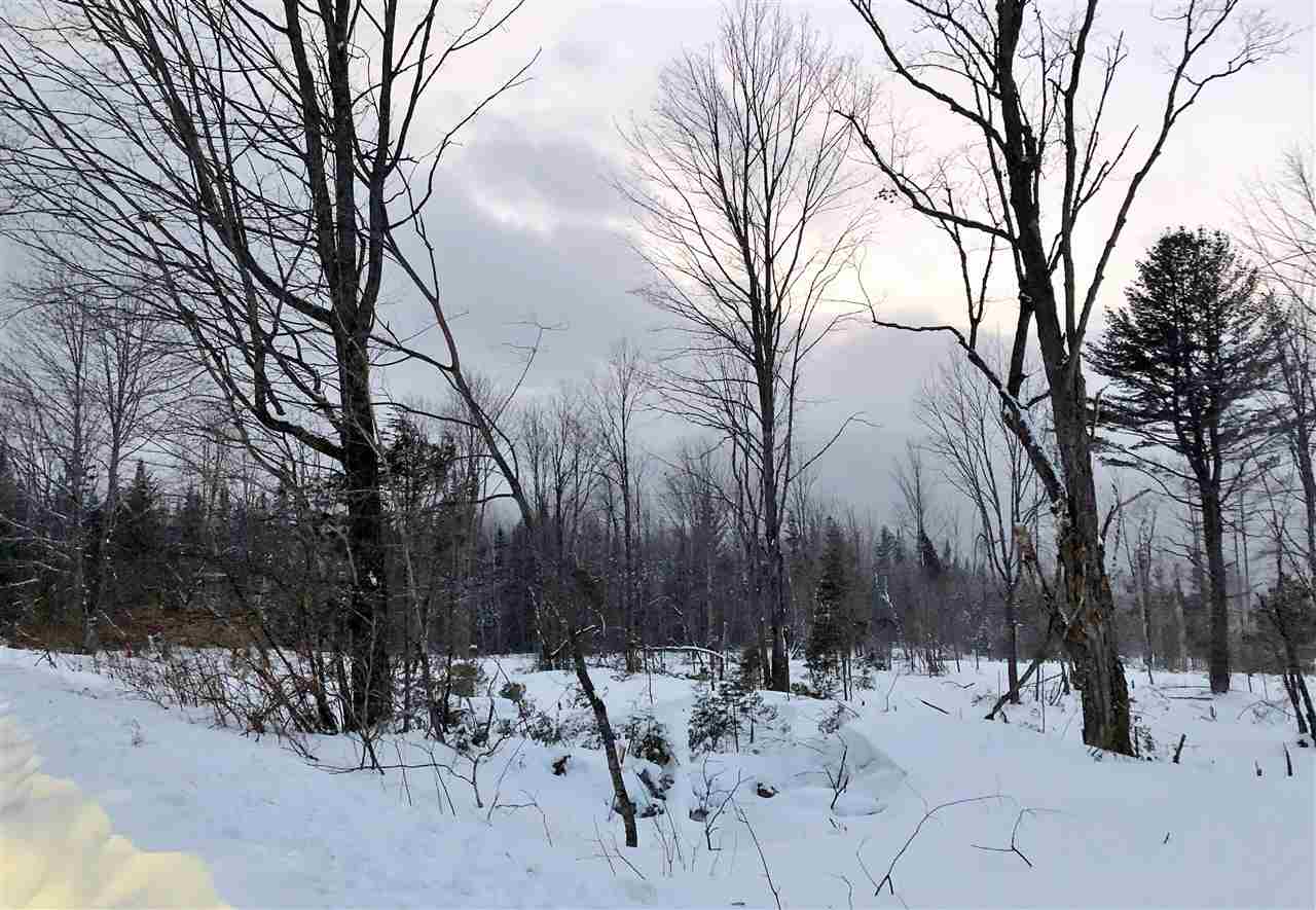 52 52 York Pond Road, Unit 52 Milan, NH 03588 - Photo 3 of 4
