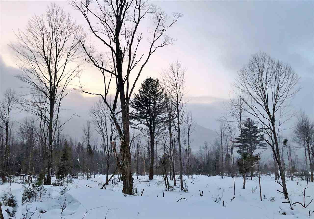 52 52 York Pond Road, Unit 52 Milan, NH 03588 - Photo 4 of 4