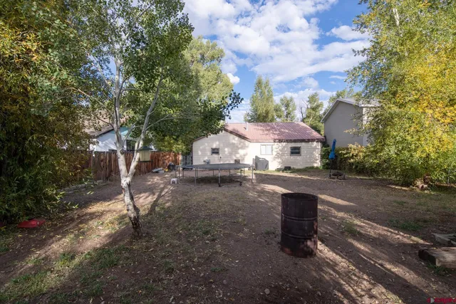 a view of a yard with plants and a tree