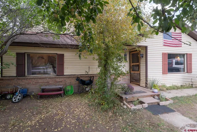 a view of a yard covered with tall trees