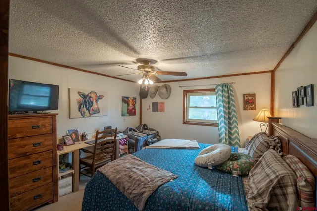 a bed room with furniture and a window