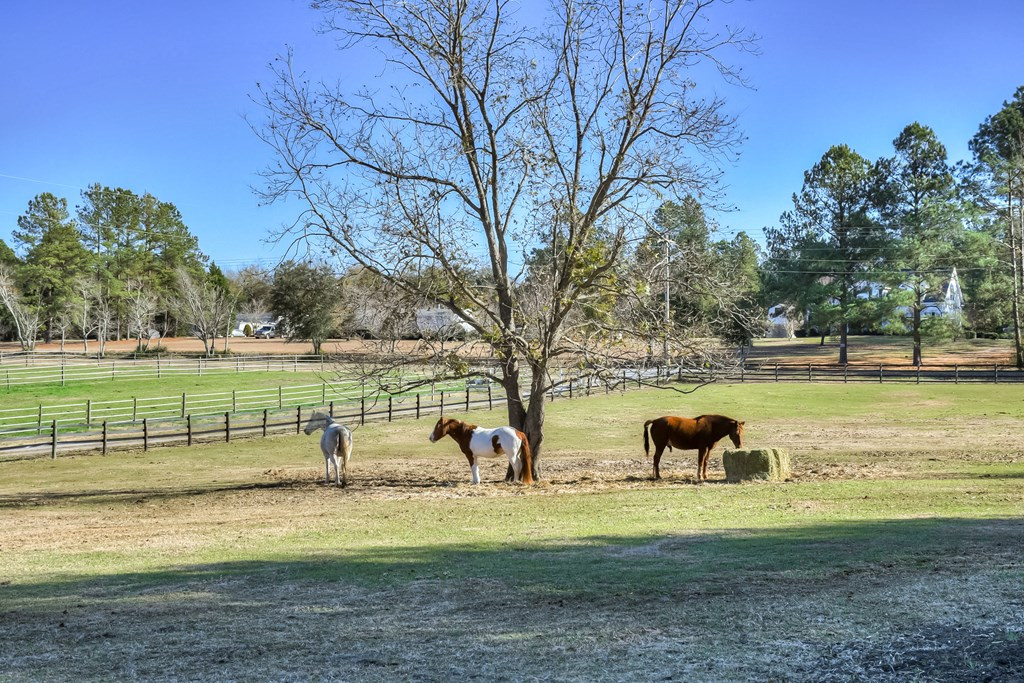1179 Shaws Fork Road Aiken, SC 29805 - Photo 23 of 25