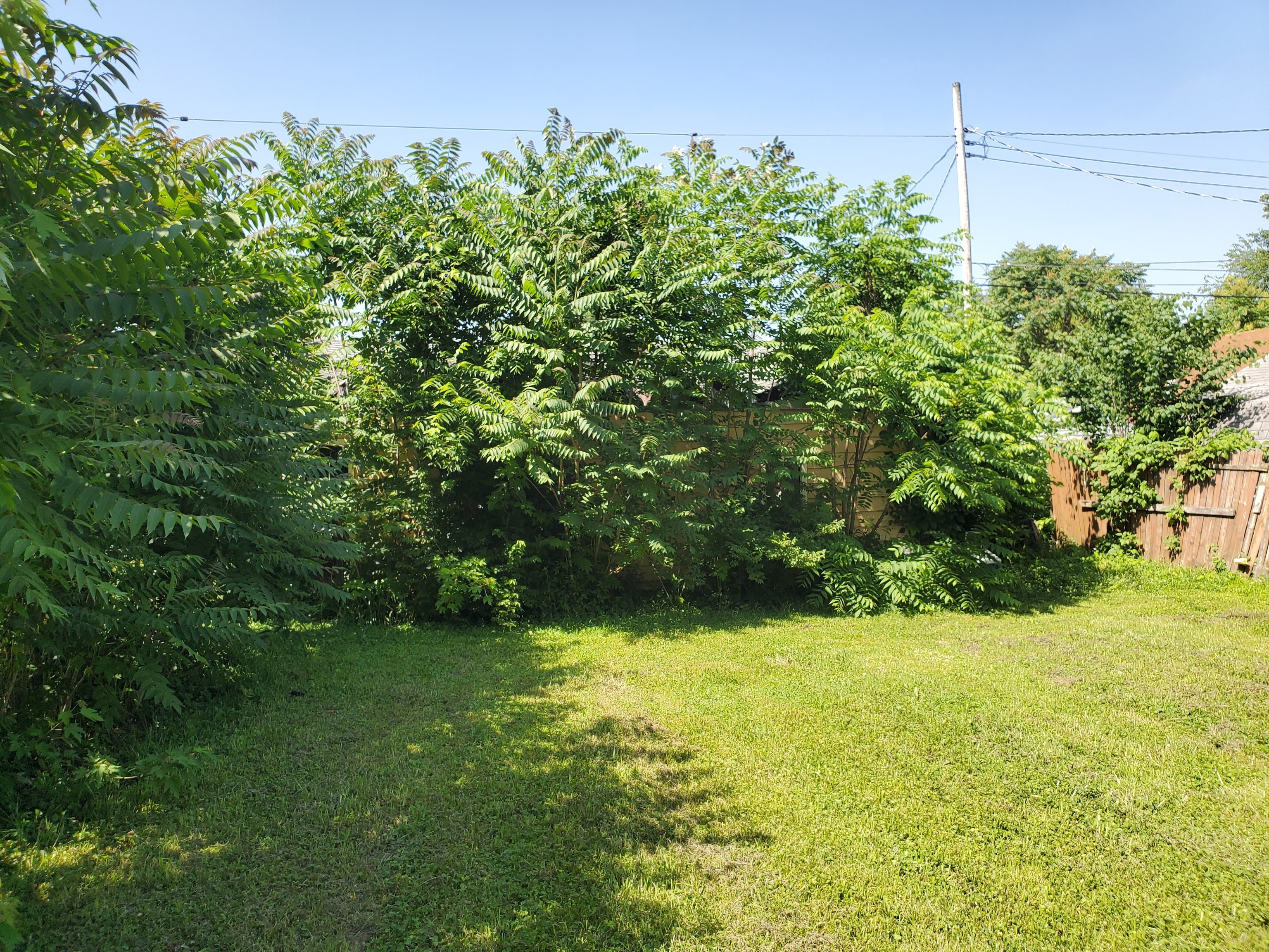 412 West 7th Street Anderson, IN 46016 - Photo 4 of 19