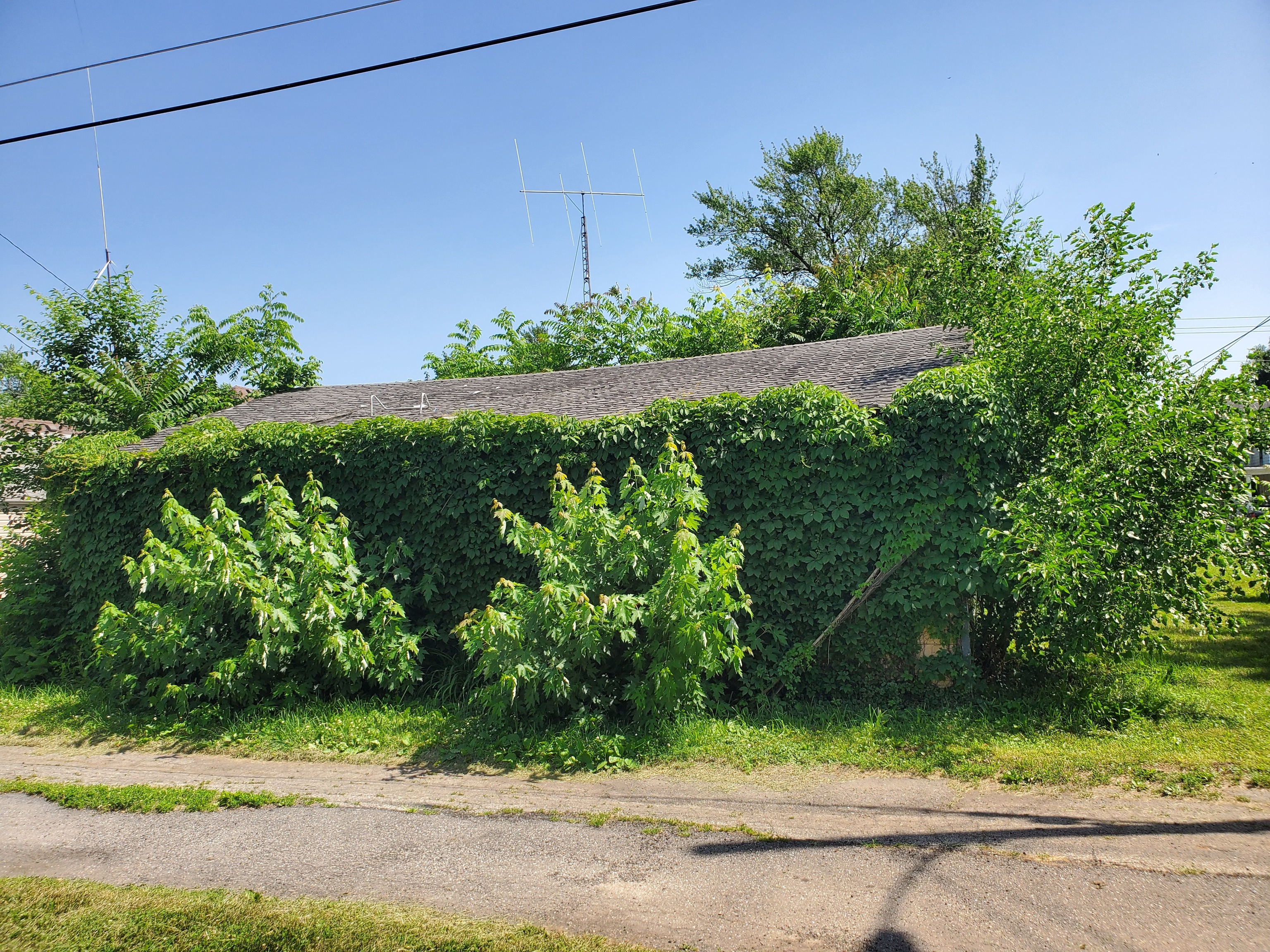 412 West 7th Street Anderson, IN 46016 - Photo 8 of 19