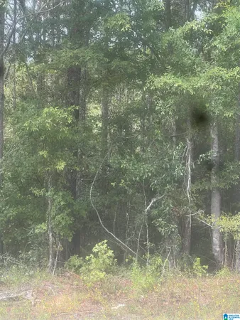 $7,200 | 0 Gardners Gin Road, Cordova, AL 35550