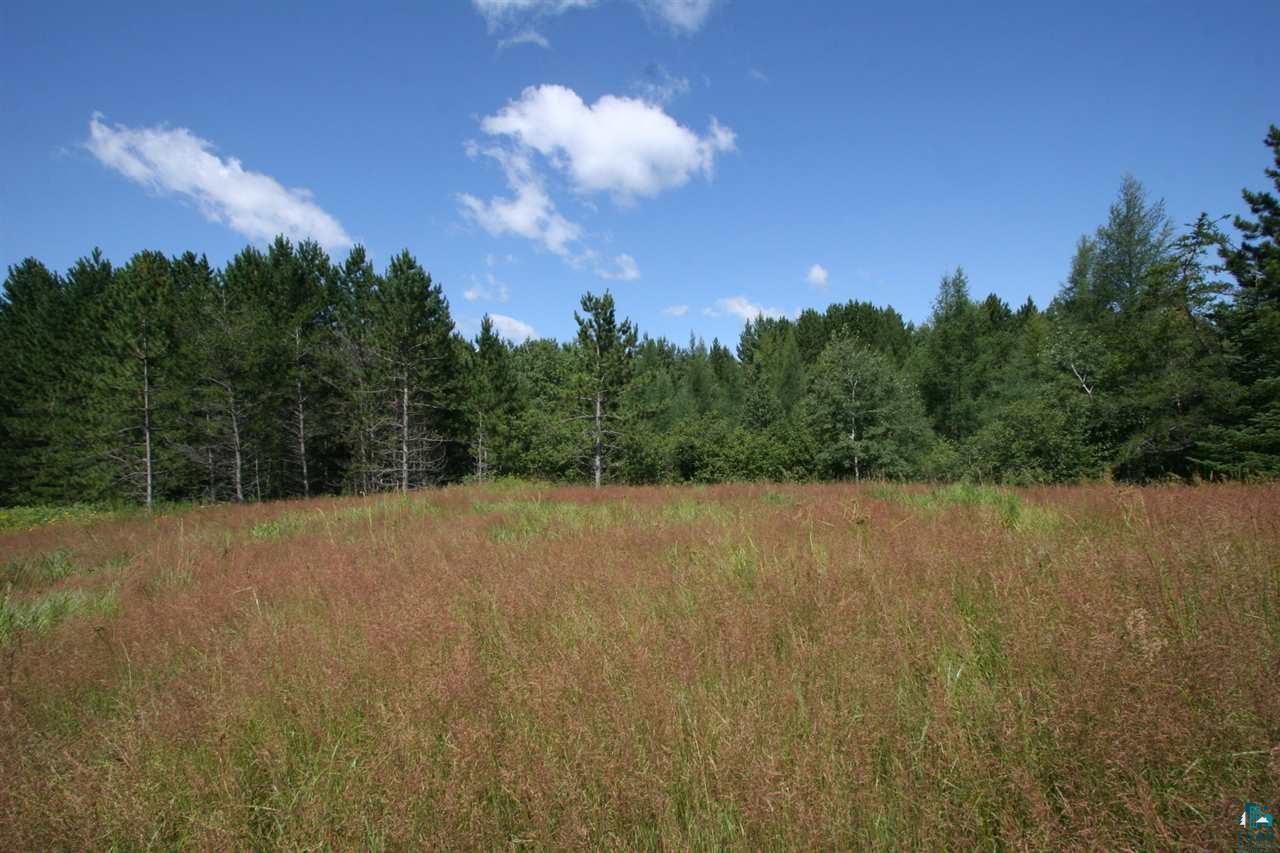 Xxx Xxx Pfeiffer Road Carlton, MN 55718 - Photo 2 of 4 Gallery Image 2