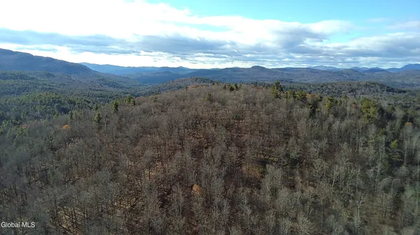 $165,000 | L3 Alder Brook Road, Bolton Landing, NY 12814