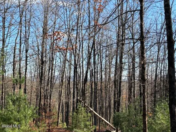 $165,000 | L3 Alder Brook Road, Bolton Landing, NY 12814