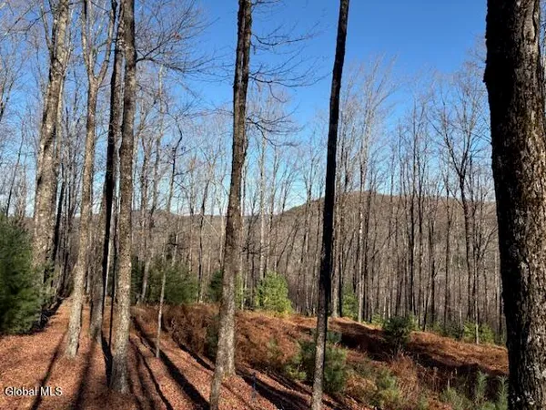 $165,000 | L3 Alder Brook Road, Bolton Landing, NY 12814