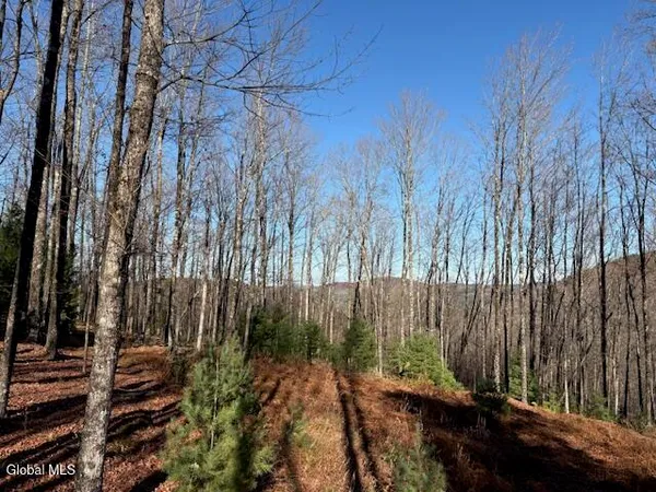 $165,000 | L3 Alder Brook Road, Bolton Landing, NY 12814